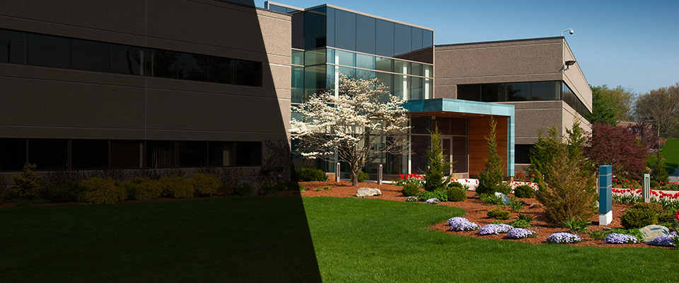 Cannon Falls Landscapers