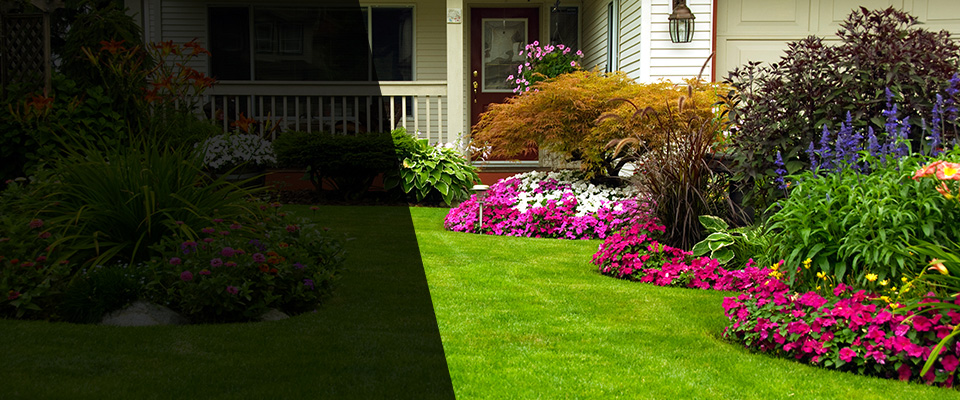 Cannon Falls Landscapers