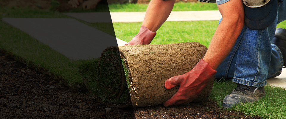 Cannon Falls Landscapers